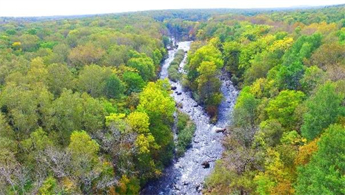 йyl23411()޹˾-ٷվ