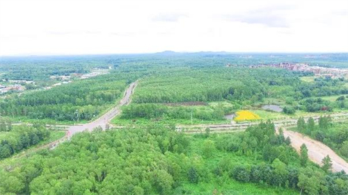 йyl23411()޹˾-ٷվ