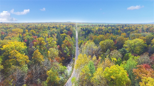 йyl23411()޹˾-ٷվ