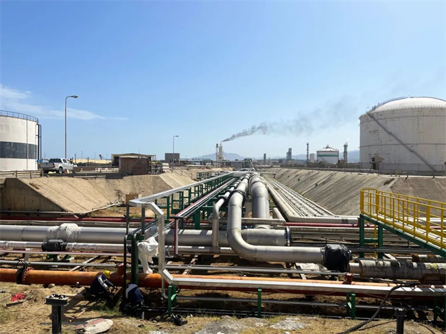 йyl23411()޹˾-ٷվ