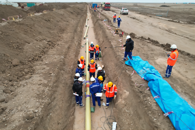 йyl23411()޹˾-ٷվ