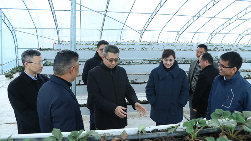 W020191225558729511807 W020191225558729511807