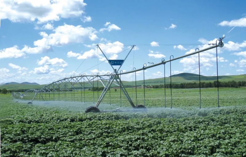 W020201215537933860746 Öйú¡¤yl23411ÓÀÀû(¼¯ÍÅ)ÓÐÏÞ¹«Ë¾-¹Ù·½ÍøÕ¾