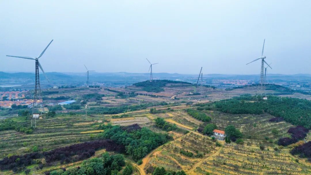 йyl23411()޹˾-ٷվ