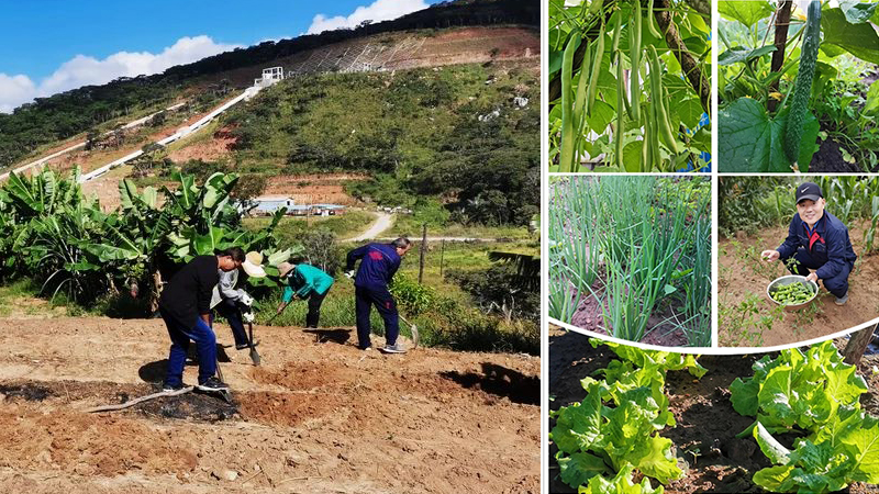 йyl23411()޹˾-ٷվ